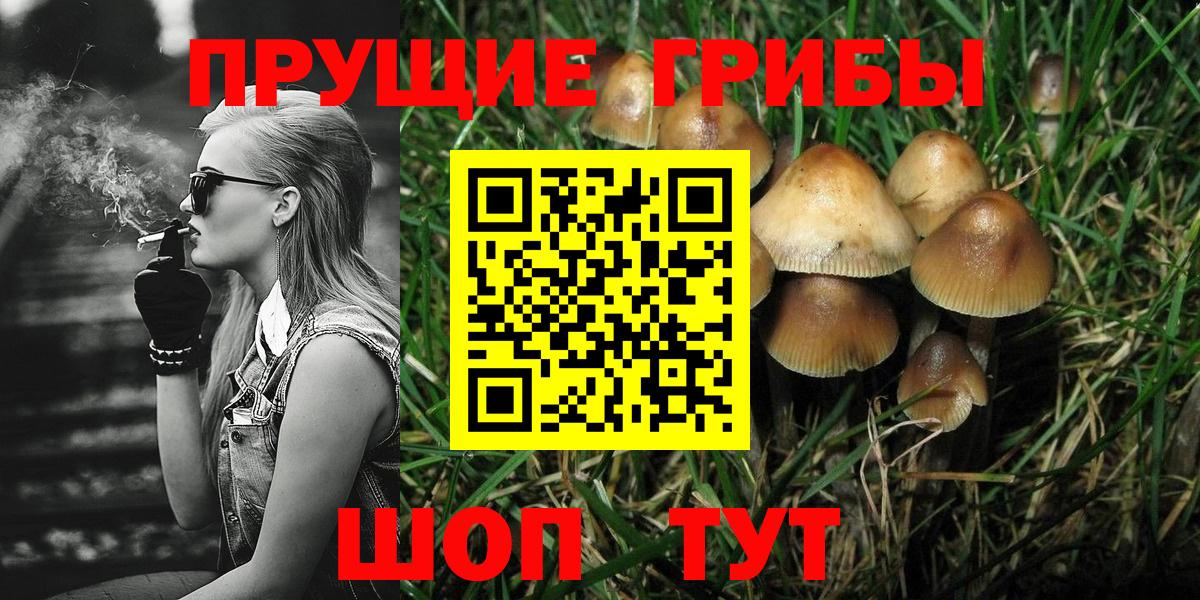 Галлюциногенные грибы GOLDEN TEACHER  Вход с VPN  Норильск 
