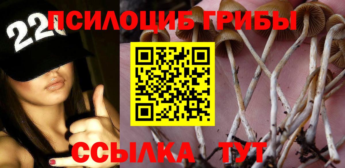 Псилоцибиновые грибы Cubensis Норильск